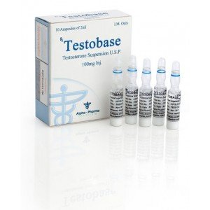 Buy Testobase online